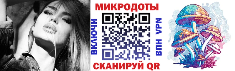 Галлюциногенные грибы Psilocybine cubensis  как найти   Дмитриев 
